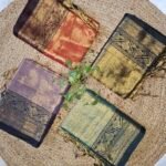 Soft Tissue Saree with Contrast Border